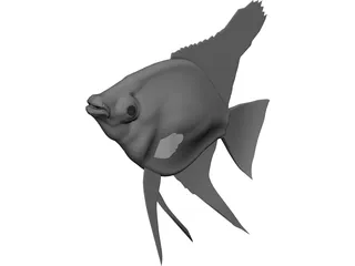 Pterophyum Scalare 3D Model