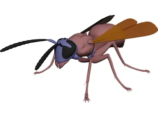 Wasp 3D Model