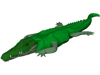 Crocodile 3D Model