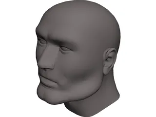 Head Male CAD 3D Model
