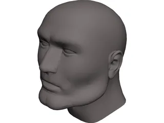 Head Male 3D Model