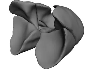 Lungs Human 3D Model