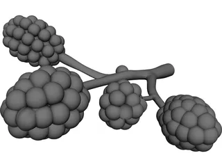 Alveoli CAD 3D Model