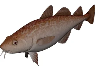 Pacific Cod 3D Model