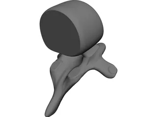 Spine CAD 3D Model