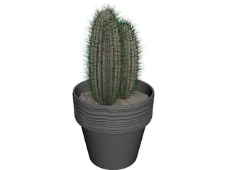 Cactus 3D Model