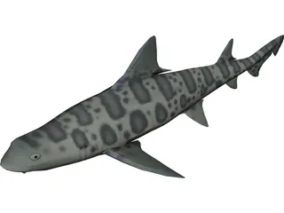 Leopard Shark 3D Model