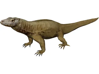 Komodo Dragon 3D Model