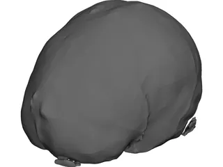 Brain CAD 3D Model
