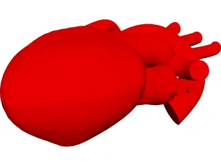 Heart Human CAD 3D Model