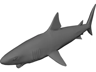 Shark Great White 3D Model