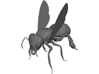 Bee 3D Model