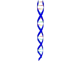 DNA Strand 3D Model