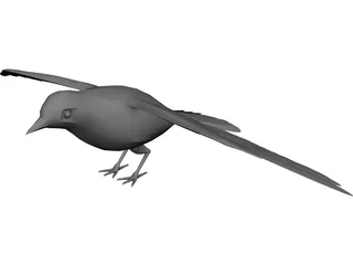 Dove Rock Pigeon 3D Model 3D Preview
