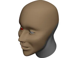 Head Human 3D Model