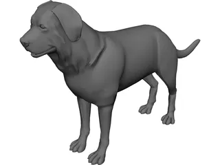 Dog 3D Model