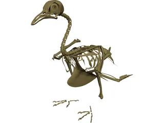 Pigeon Skeleton 3D Model 3D Preview