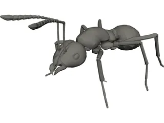 Ant 3D Model