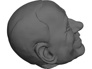 testa di Berlusconi Head 3D Model