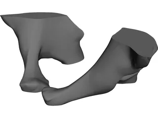 Pelvis CAD 3D Model