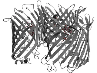 Protein 3D Model