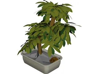 Small Tree 3D Model