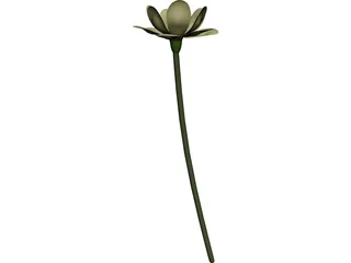 Lotus Flower (Nelumbo Lutea) 3D Model