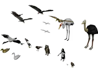 Birds Collection 3D Model