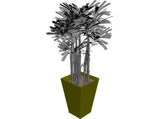 K-VG Rhapis B 3D Model