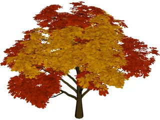 Chestnut Tree 3D Model 3D Preview