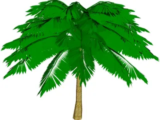 Palm Tree 3D Model