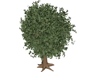 Oak Tree 3D Model