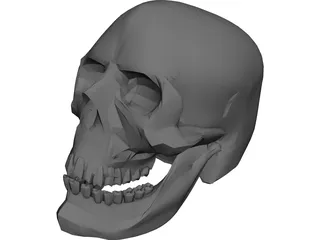 Skull Hell 3D Model