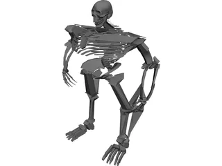 Warrior Skeleton 3D Model