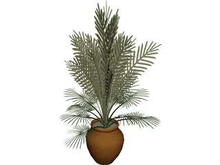 Large Potted House Plant 3D Model