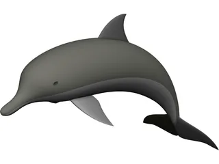 Dolphin 3D Model