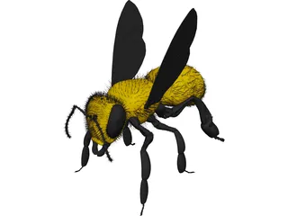 Bee with Fur 3D Model