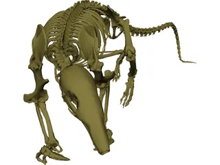 Skeleton Prehistoric 3D Model 3D Preview