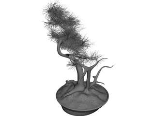 Bonsai Tree 3D Model