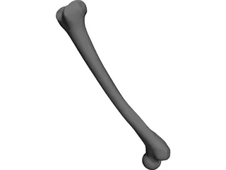 Femur Bone CAD 3D Model