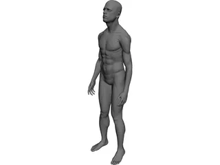 Man Human 3D Model