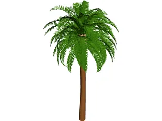 Coconut Tree 3D Model