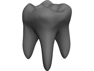 Tooth 3D Model