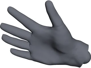 Human Hand CAD 3D Model
