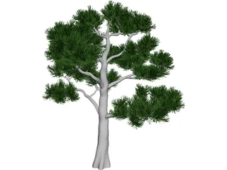 Pine Tree 3D Model