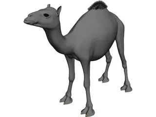 Camel 3D Model