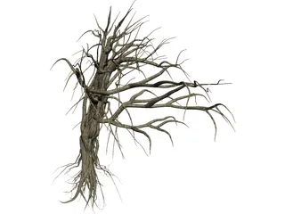 Dry Old Tree 3D Model