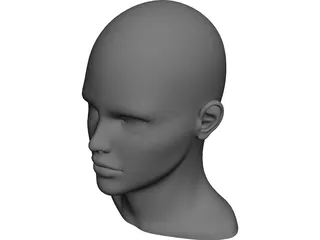 Human Head and Neck CAD 3D Model