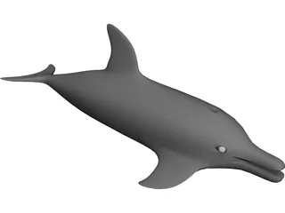 Dolphin 3D Model