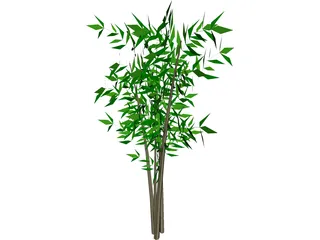 Bamboo Tree 3D Model